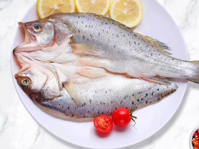 野生ブラックバス