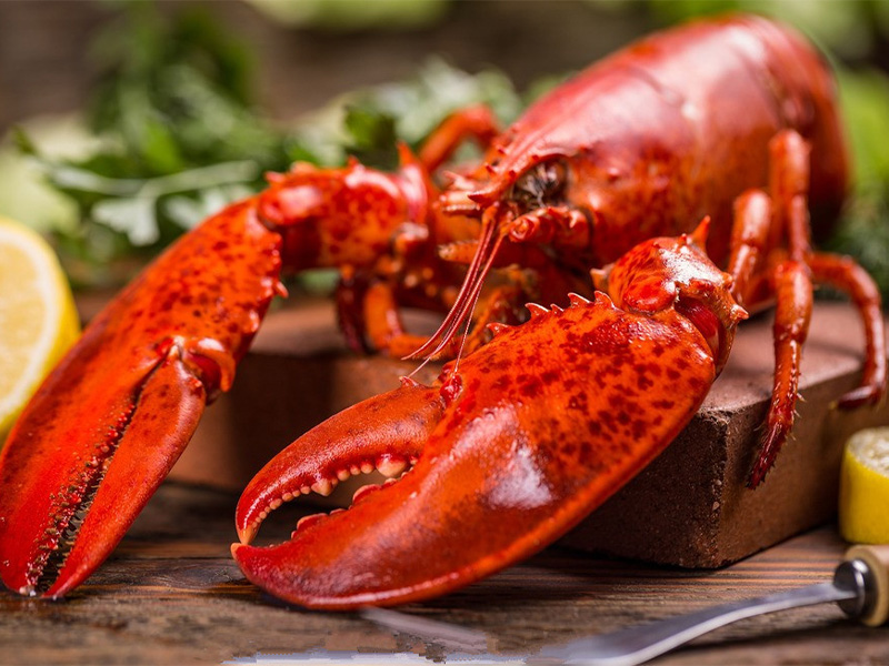ロブスター