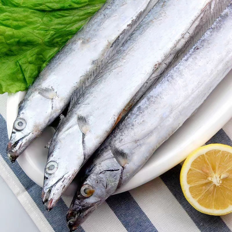 高級(jí)なリュウグウノツカイ