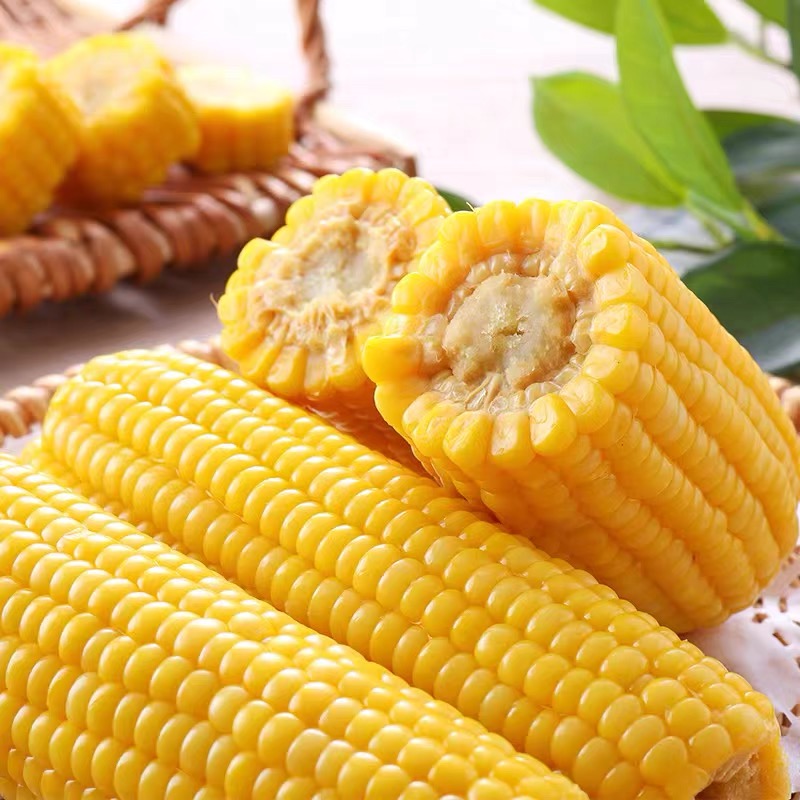 黃糯玉米